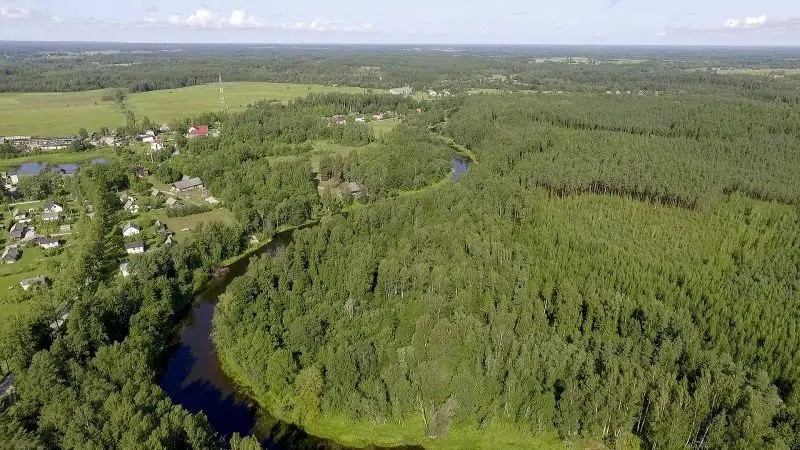 Virešu pagasts