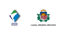 foto ar logo ansambli