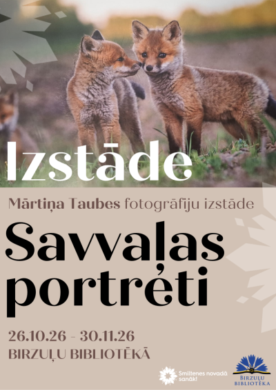mārtiņa_taubes_afiša