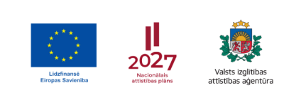 NAP logo+ es logo + VIAA logo 
