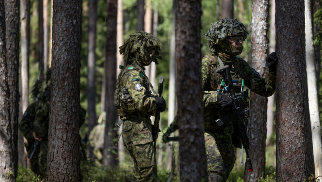 foto ar armijniekiem kamuflāžas tērpos meža pie koka 