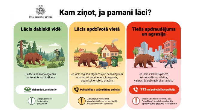 informatīvs baneris par lāčiem