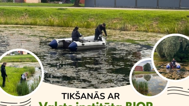 foto afiša 