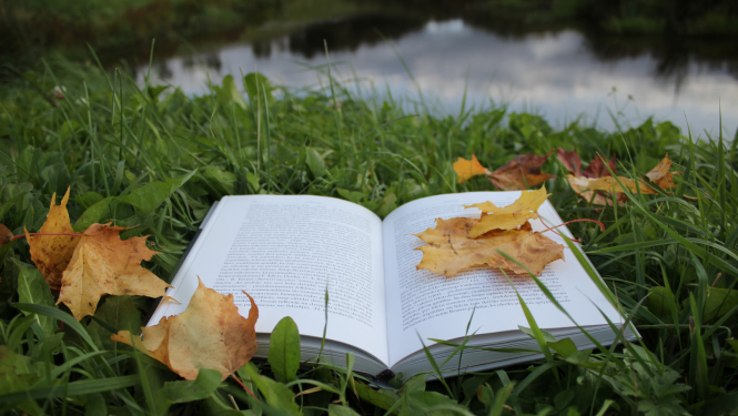 gramata_rudens_lapas
