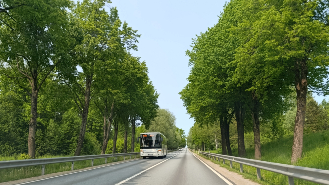 foto autobuss