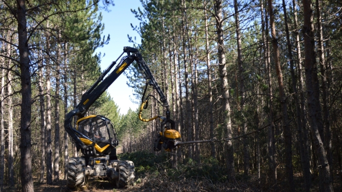 foto ar harvesteru 