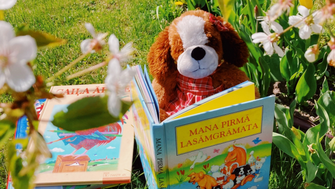 Vasara bibliotēkā