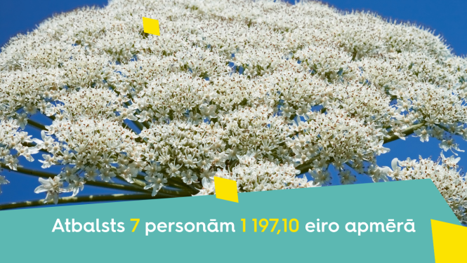 Atbalsts latvāņu apkarošanai Smiltenes novadā