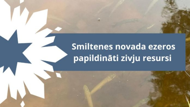 Attēls