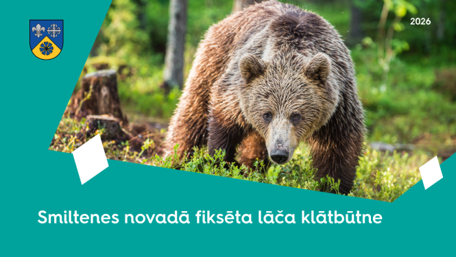 Lācis Smiltenes novadā