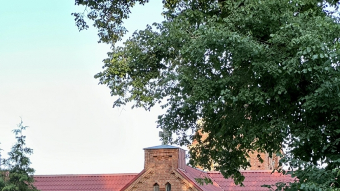 Kapi