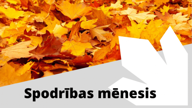 asdasddads
