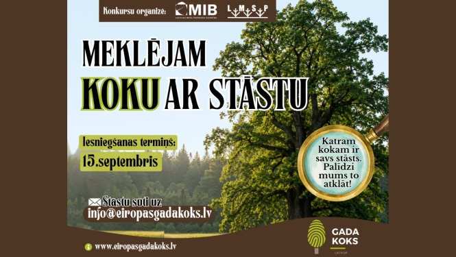 foto baneris 