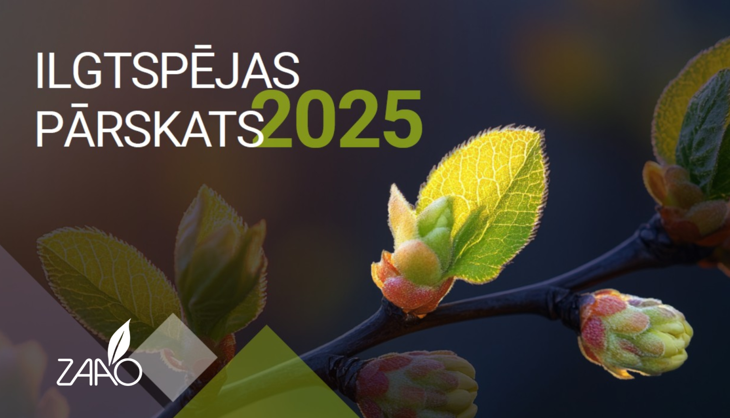 baneris ar uzrakstu ilgtspējas pārskats 2025