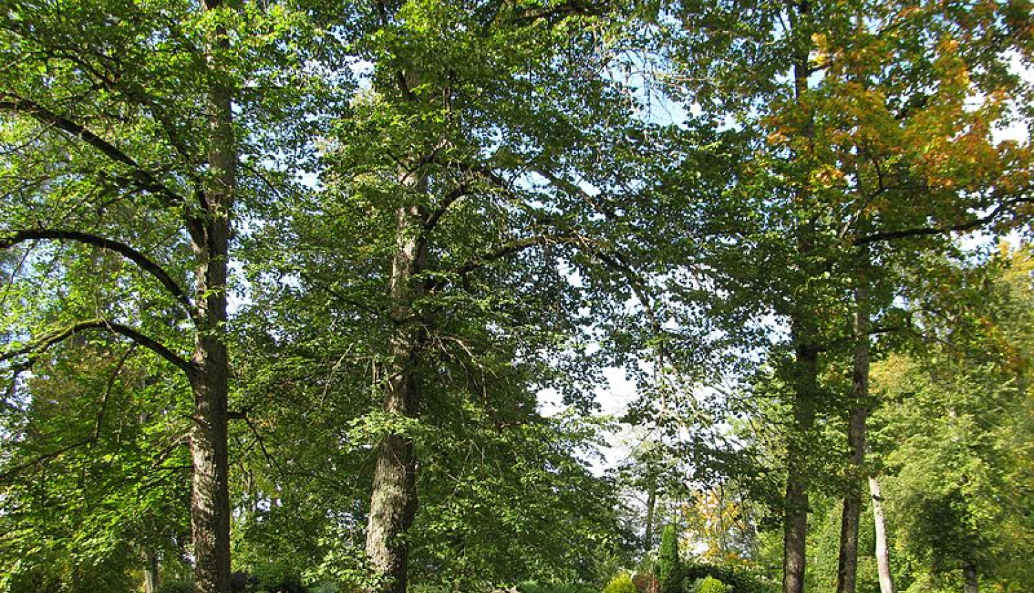 bormaņmuiža