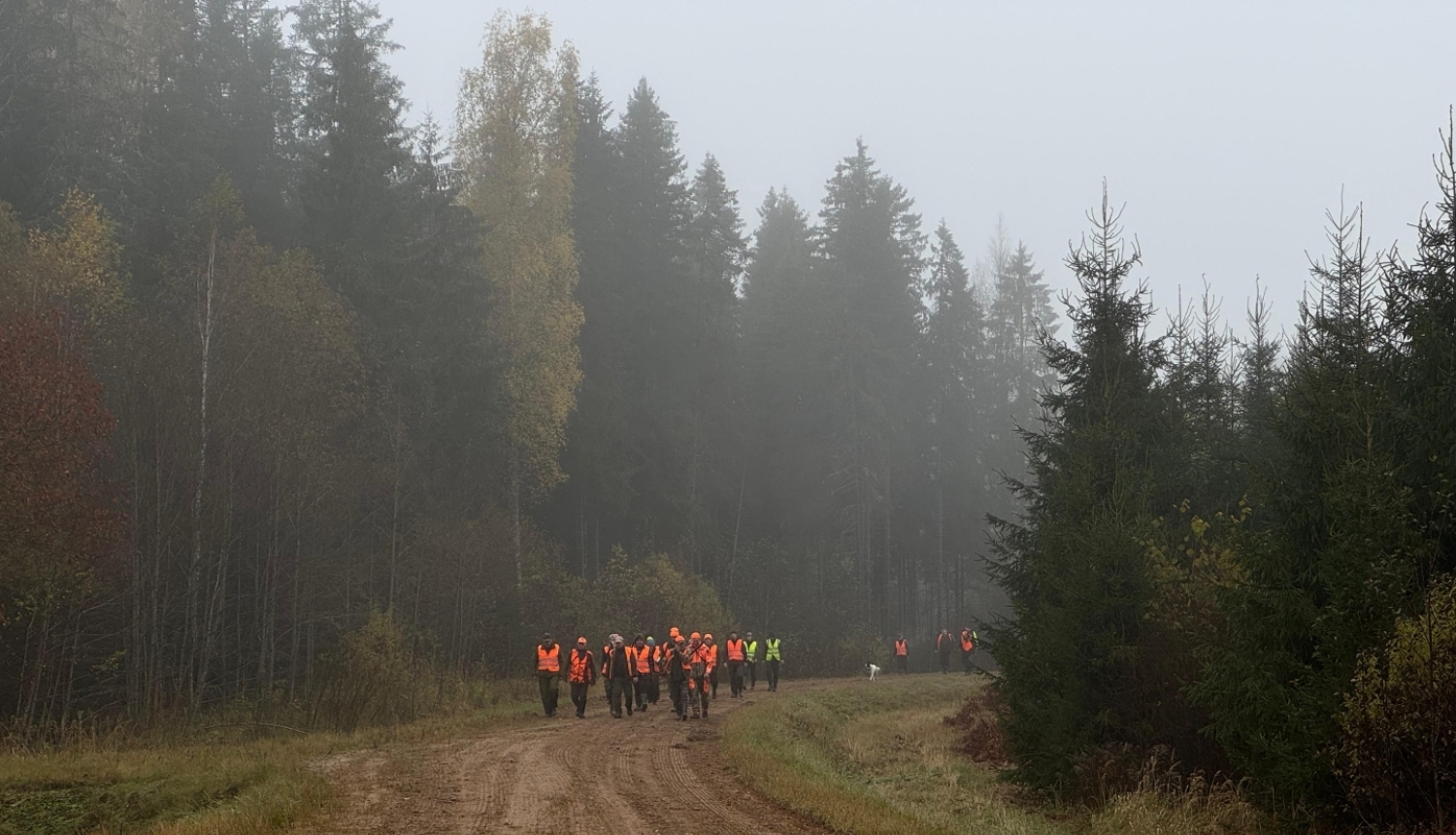 foto ar medniekiem mežā