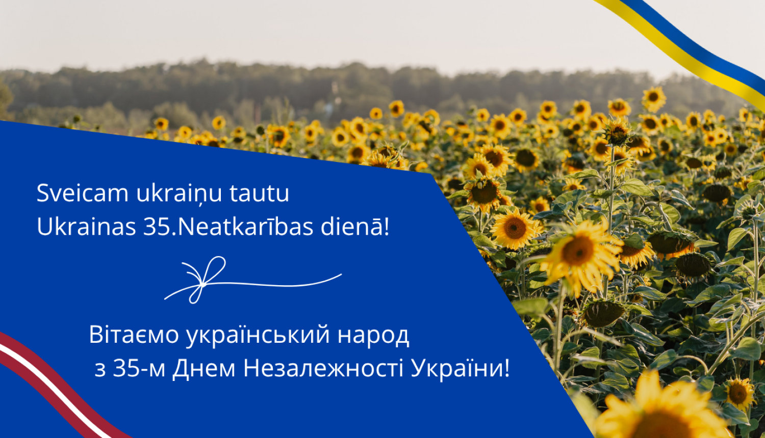 Ukrainas neatkarības diena