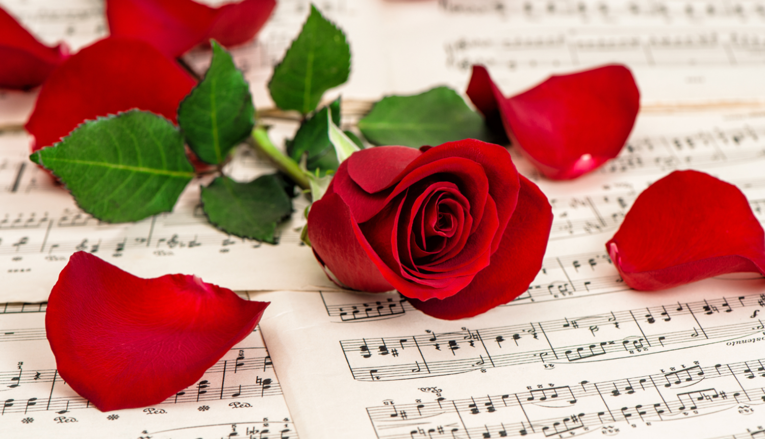 roze_uz_nosu_lapam