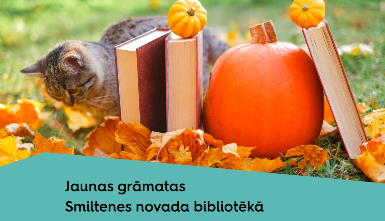 jaunas_gramatas