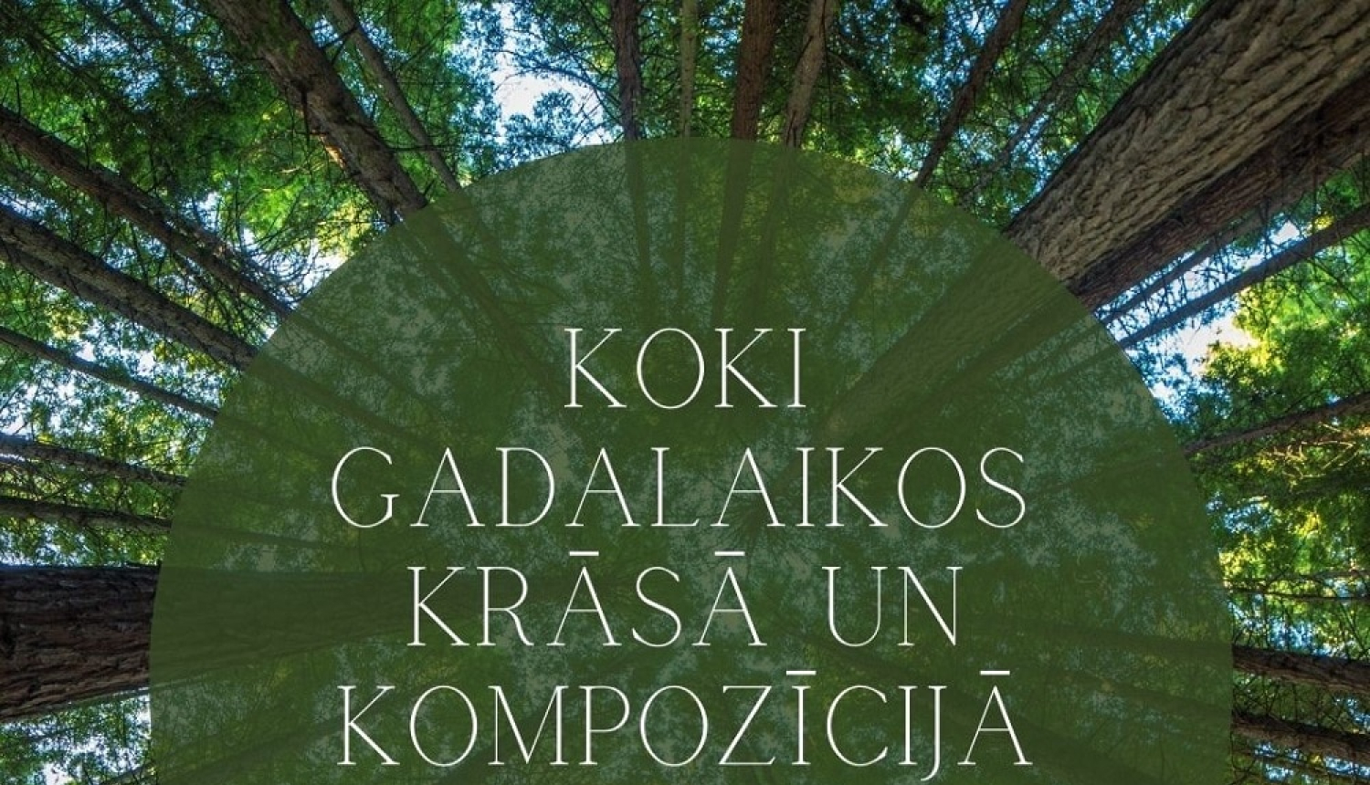Tautas lietišķās mākslas studija “Smiltene” aicina pieteikties māksliniekus izstādei “Koki gadalaikos – krāsā un kompozīcijā”