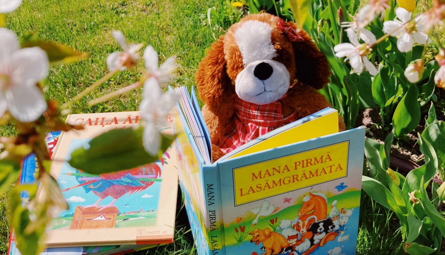 Vasara bibliotēkā
