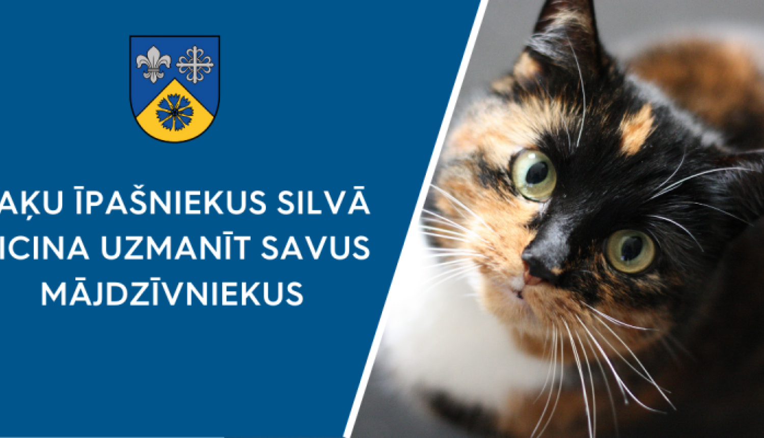 kaku ipasniekus