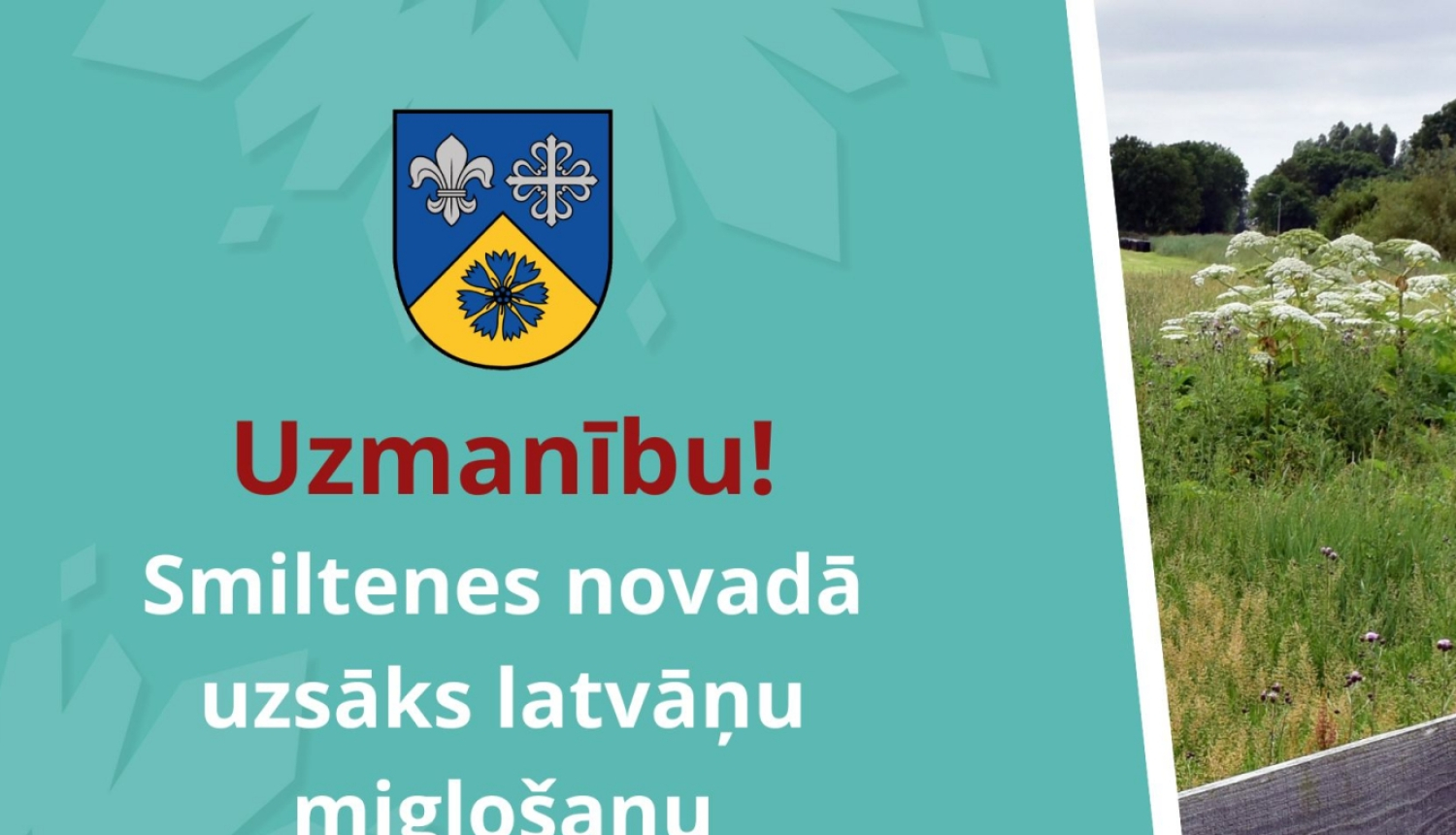 Latvanu_miglosana