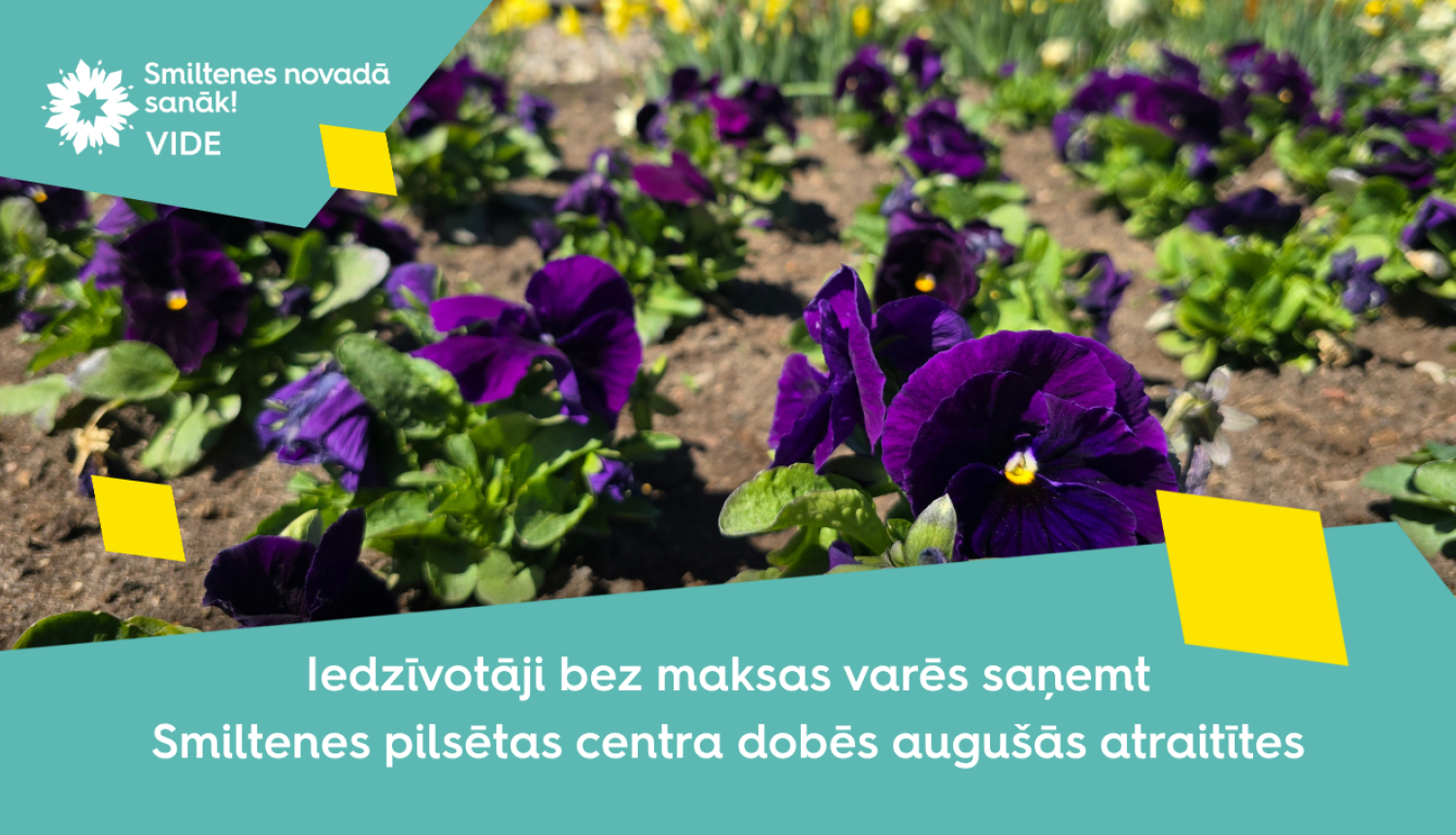 Atraitnīšu dāvināšana Smiltenes pilsētā 
