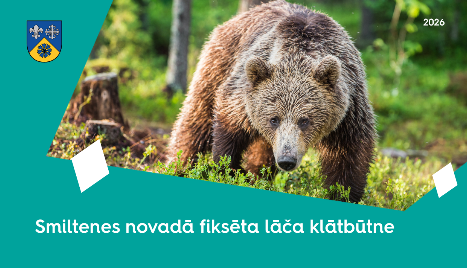 Lācis Smiltenes novadā