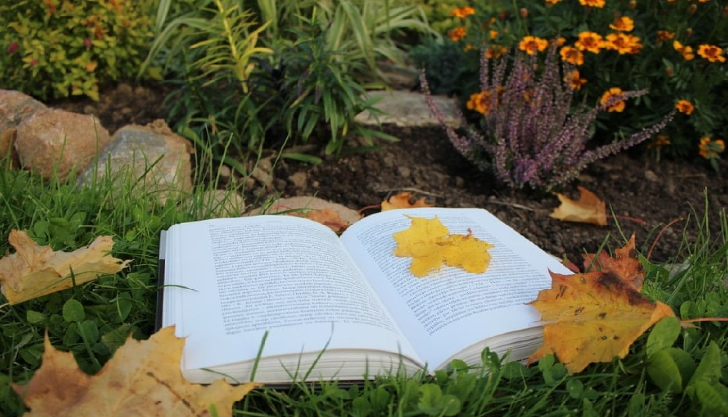rudens