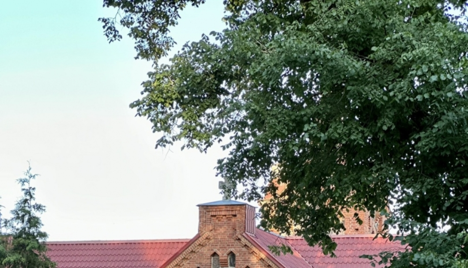 Kapi