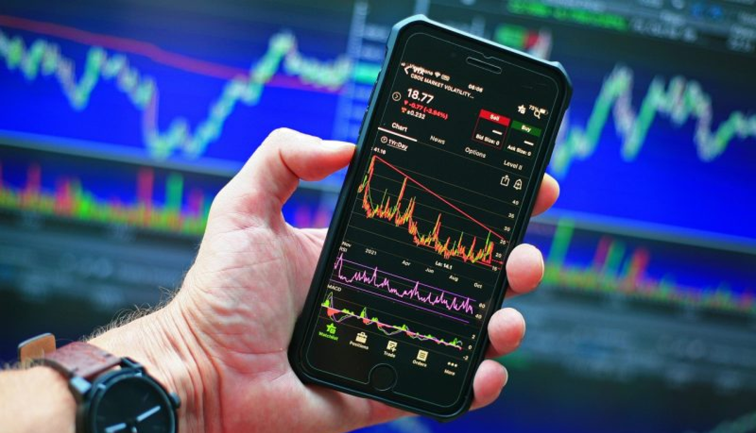 stock market