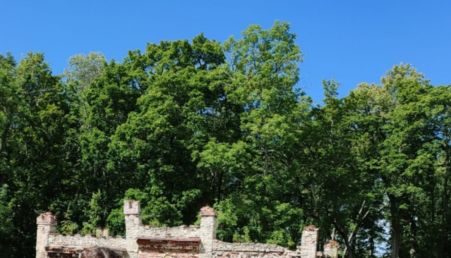 Gaujiena