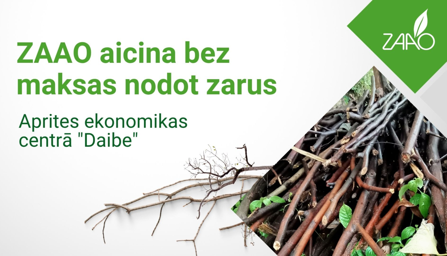 foto ar baneri