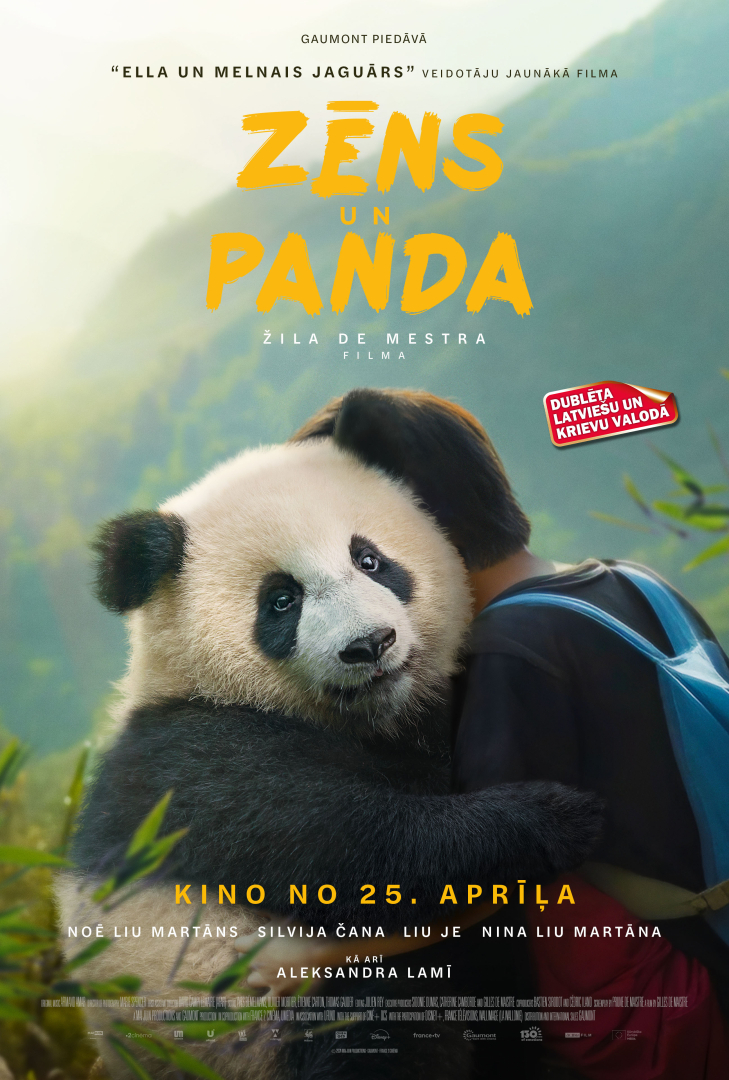 Zēns un panda - plakāts