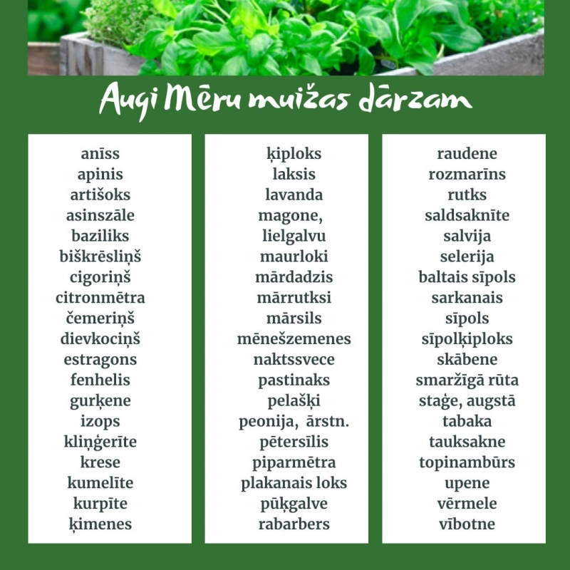Attēls