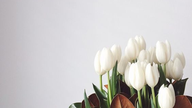 Smiltenē 8.martu atzīmēs ar īpašu sveicienu ikvienai sievietei!