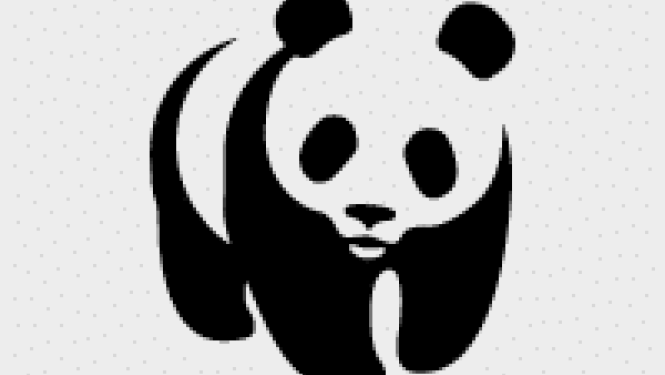 panda