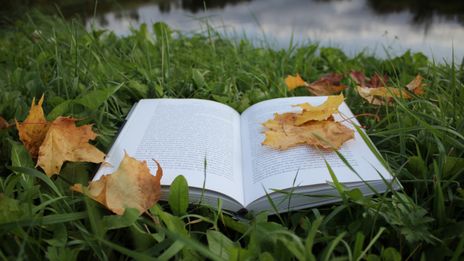 gramata_rudens_lapas