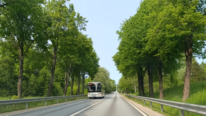 foto autobuss