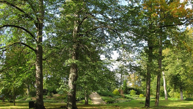 bormaņmuiža