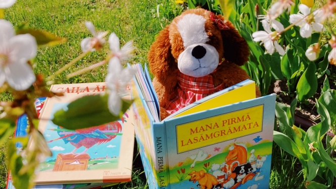 Vasara bibliotēkā