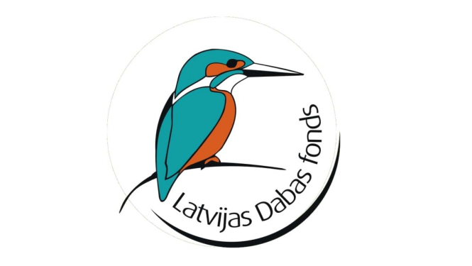 Attēls