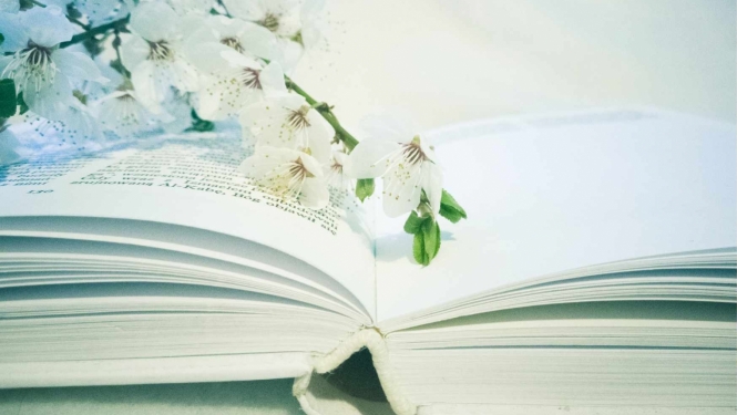 Bibliotēku nedēļa 2024
