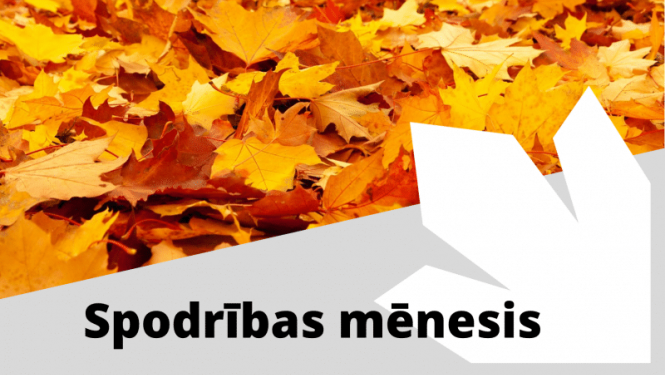 asdasddads