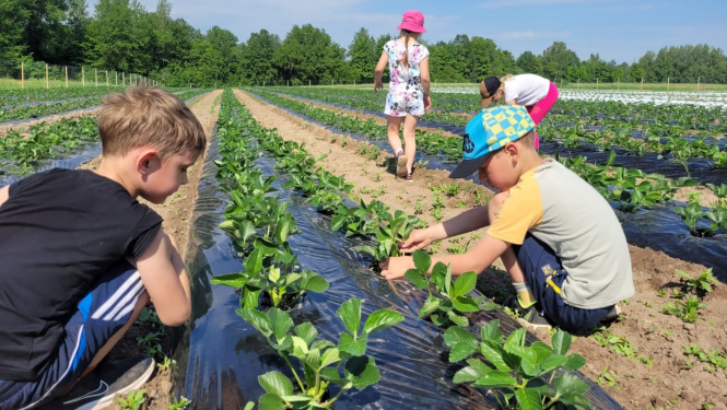 Grundzales_berni_dodas_uz_lauku_saimniecibam