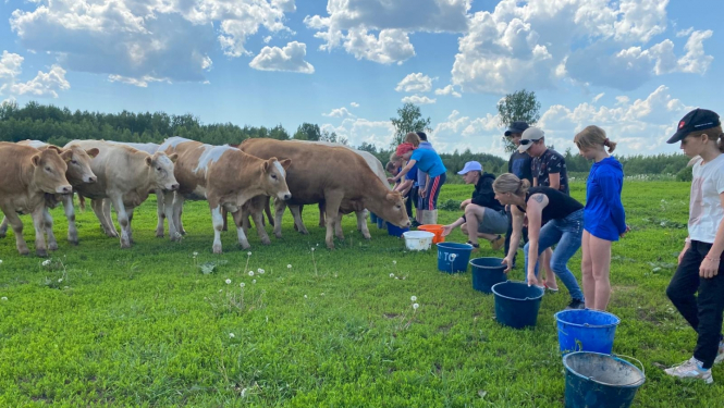 No skolas uz lauku saimniecībām