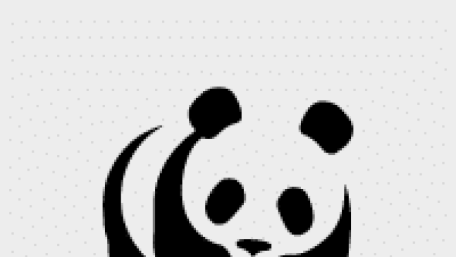 panda