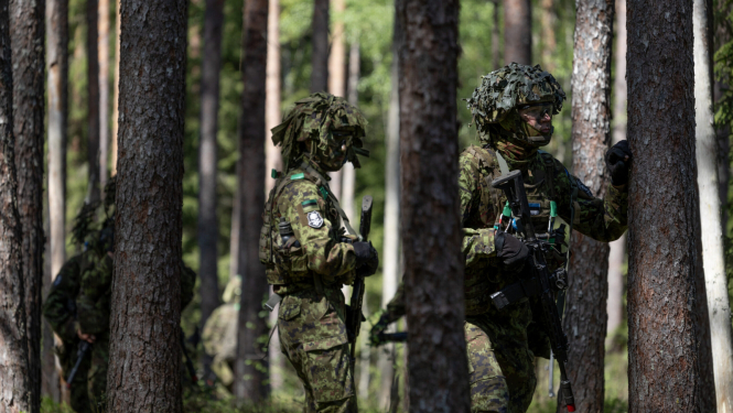 foto ar armijniekiem kamuflāžas tērpos meža pie koka 
