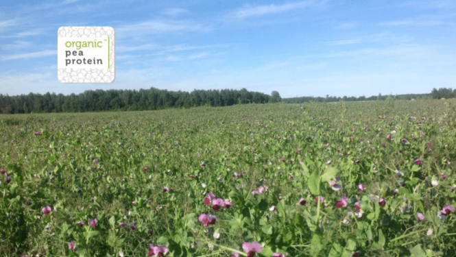 Prezentētas industriālās simbiozes un bioekonomikas biznesa modeļu labās prakses